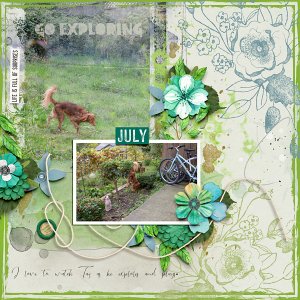 Go Exploring