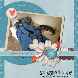 Snuggle Puppy