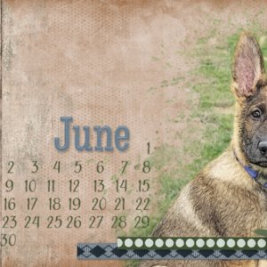 May Desktop