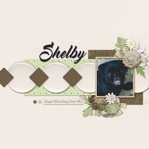 shelby