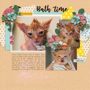 Dagilicious - Project 2019 Meow-ments