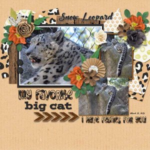 Snow leopard