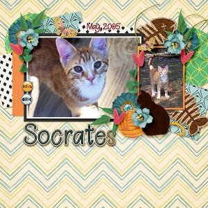 Socrates