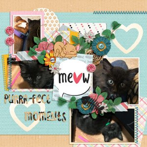 Meow