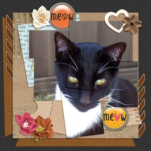 Meow