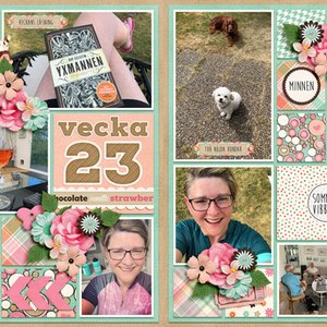 Week 23 2018