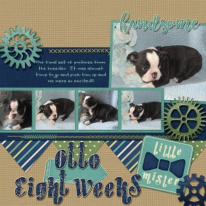 Otto 8 Weeks