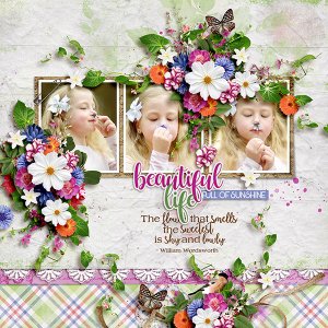 beautiful life