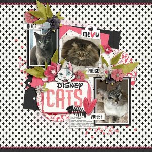 ~Disney Cats~