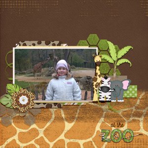 at the zoo