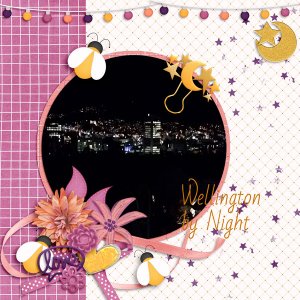 sandie03-Fireflies summer nights