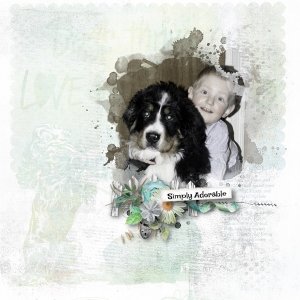 My Dog