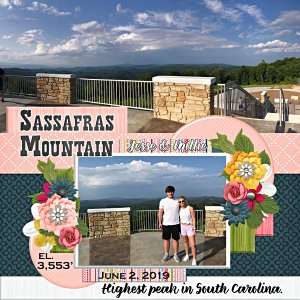 Sassafras Mountain