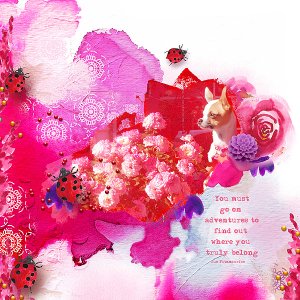 Petunia Roses