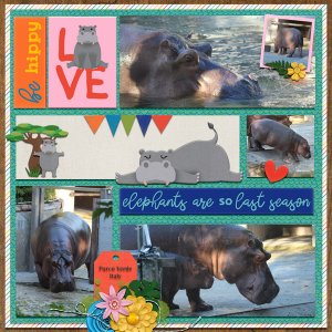 hippos