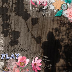 Shadow play
