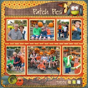 Patch Pics