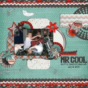 mr cool