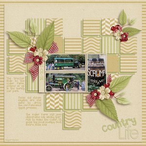 SnS-LoveCountryLife