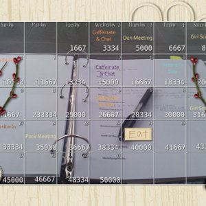 NaNoWriMo Desktop