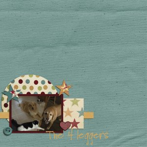the 4 leggers