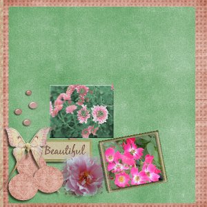 pink flowers