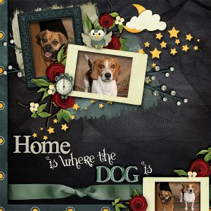 Home is where...
