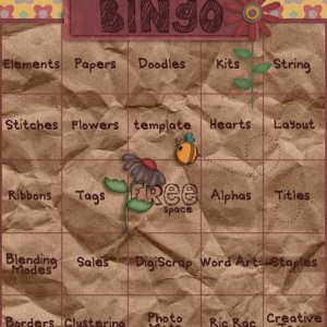 DSD Bingo Card