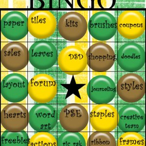 DSD Bingo