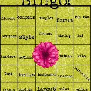 my Bingo dsd