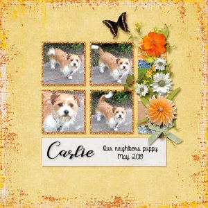 Carlie