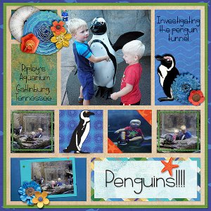 penguin-tunnel
