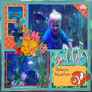 ripleys-aquarium-fish