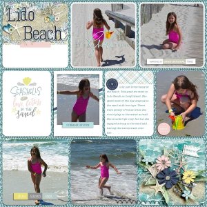 LidoBeach2014-copy