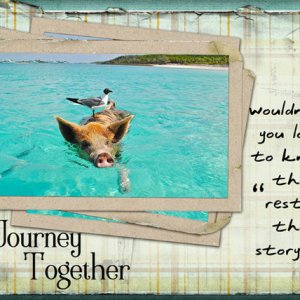 Our Journey Together