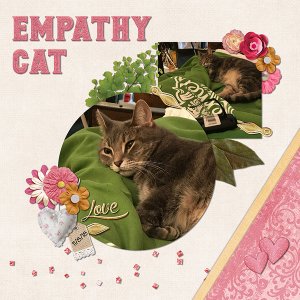 Empathy Cat