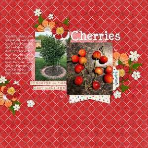 Cherries