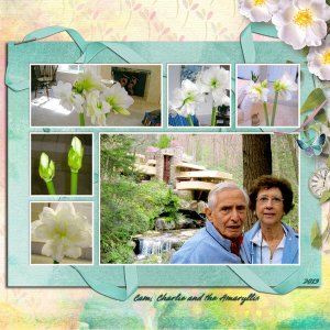 Cam, Charlie and the Amaryllis