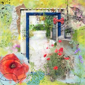 Poppies