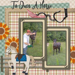 To Own A Horse