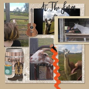At The Farm