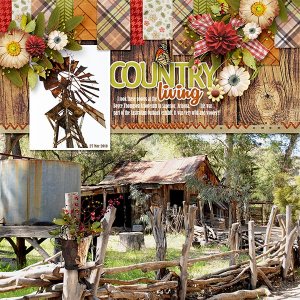 COUNTRY LIVING