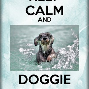 Keep Calm
