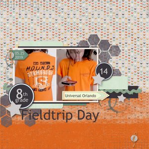 Fieldtrip Day