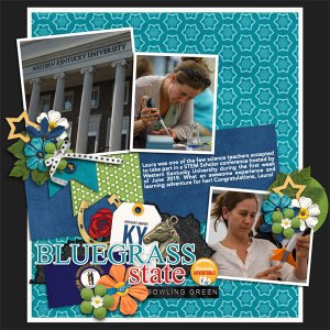 STEM Scholar