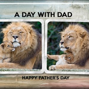 A DAY WITH DAD