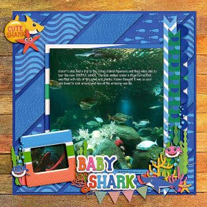 kieranaquariumshark419-copy