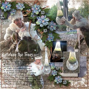 Between the Trees