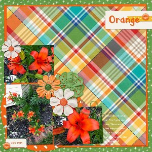 Orange