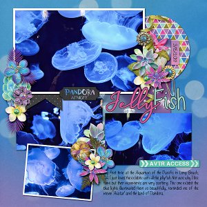 Jellyfish